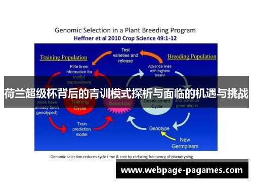 荷兰超级杯背后的青训模式探析与面临的机遇与挑战 荷兰超级杯背后的青训模式探析与面临的机遇与挑战
