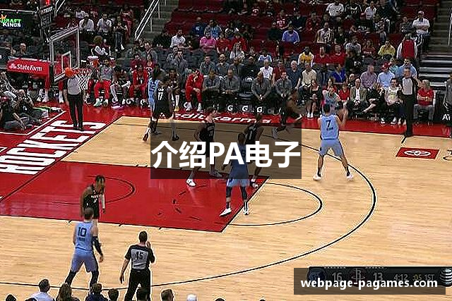 介绍PA电子